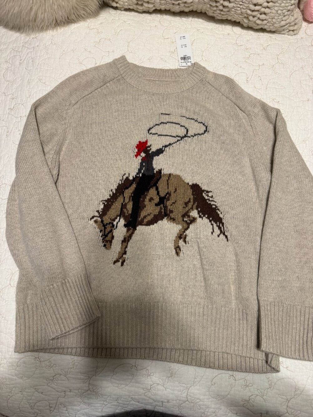 NWT! A&F Madeline Cowgirl Crew Sweater - Picture 1 of 3